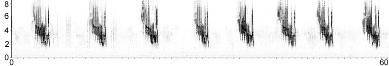 Sonogram of Chaffinch song