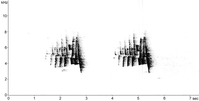 Sonogram of Chestnut-sided Warbler song