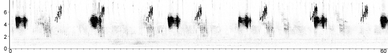 Sonogram of Cirl Bunting song