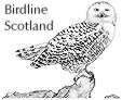 Birdline Scotland
