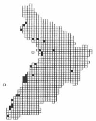 Small White distribution in Ayrshire