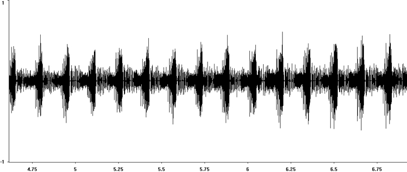 Oscillogram of Club-legged Grasshopper stridulation
