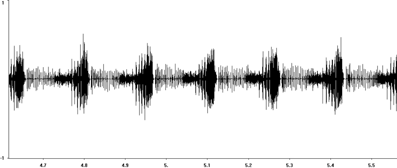 Oscillogram of Club-legged Grasshopper stridulation