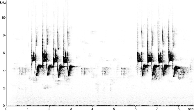 Sonogram of Coal Tit song