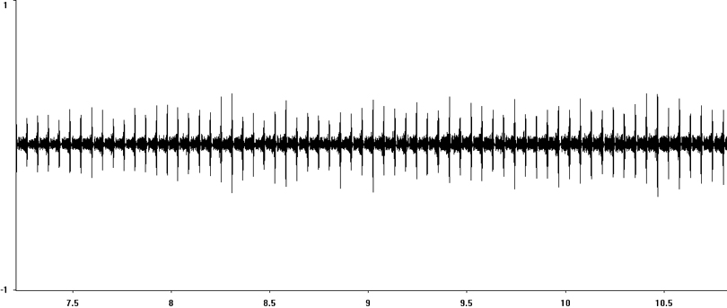 Oscillogram of Common Green Grasshopper stridulation