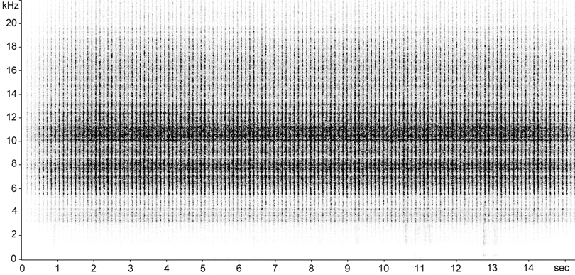 Sonogram of Common Green Grasshopper stridulation