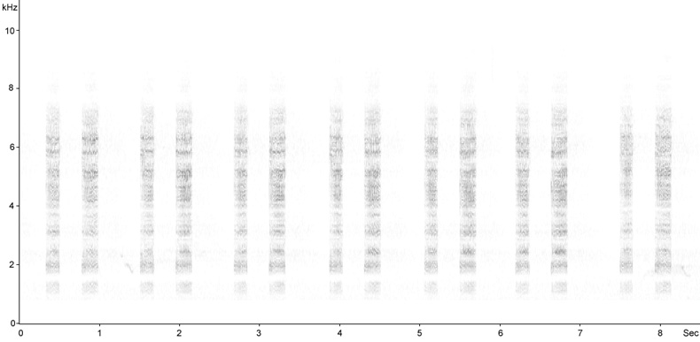 Sonogram of Corncrake