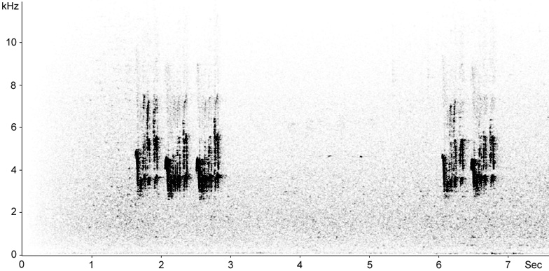 Sonogram of Crested Tit calls