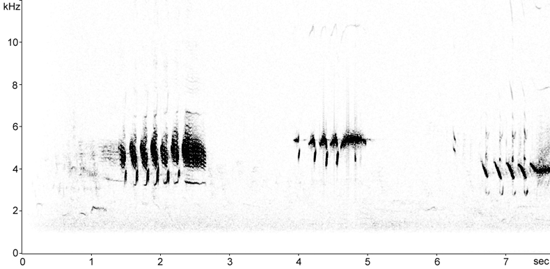 Sonogram of Cretzschmar's Bunting song