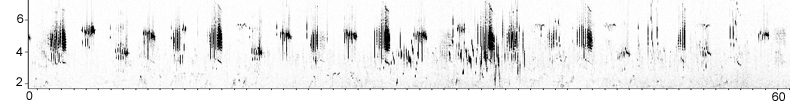 Sonogram of Cretzschmar's Bunting song