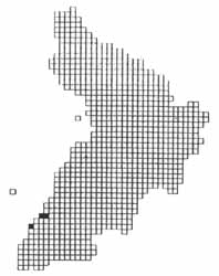 Small White distribution in Ayrshire