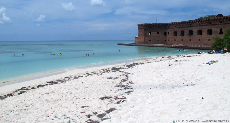 Azure sea, white sand, 16 million bricks  Fraser Simpson 2015