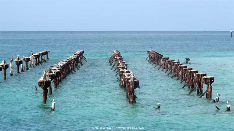 South Coaling Dock ruins  Fraser Simpson 2015