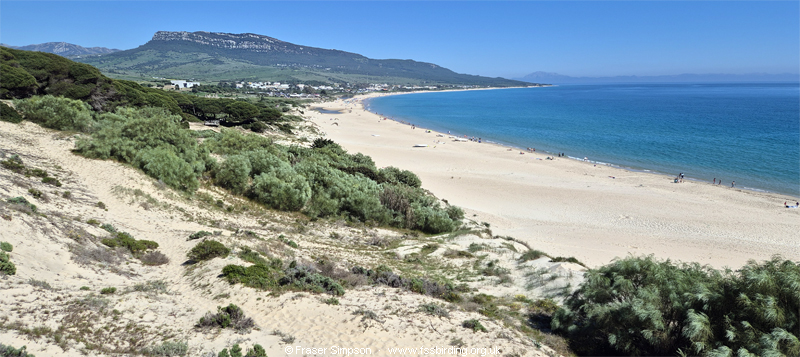 View from Duna de Bolonia over El Lentiscal & San Bartolo, with Morocco in the distance, April 2026 � Fraser Simpson