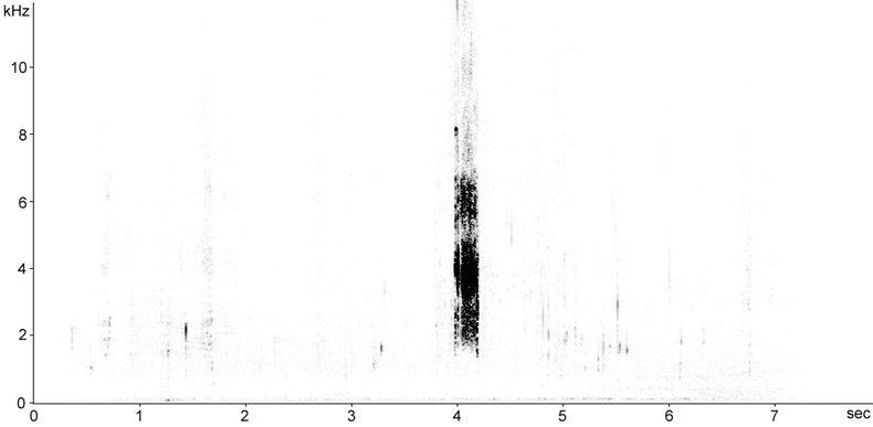 Sonogram of Dunlin flight call