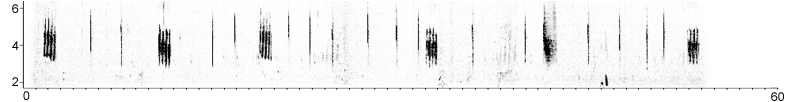 Sonogram of Eastern Bonelli's Warbler song