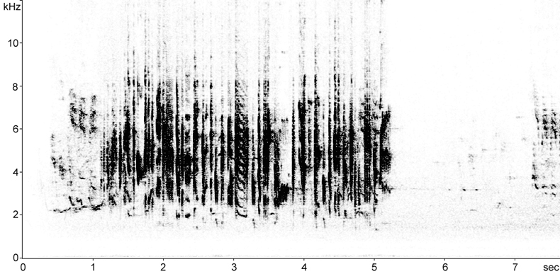 Sonogram of Eastern Subalpine Warbler song