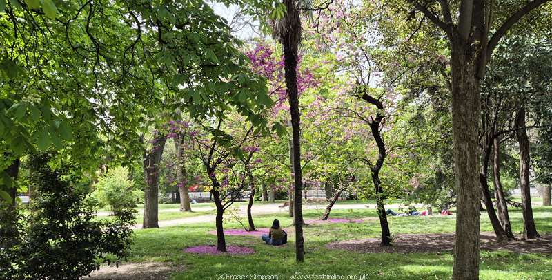 Parque del Buen Retiro, Madrid, Spain, April 2026 � Fraser Simpson