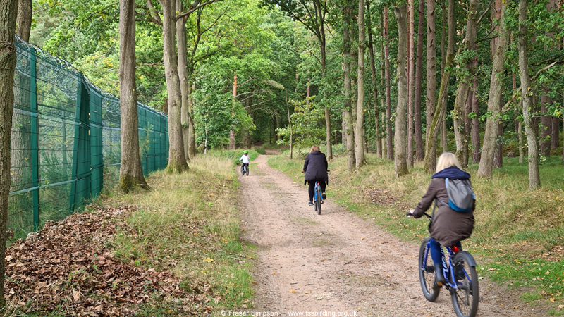 Cycling, Center Parcs Elveden Forest, Suffolk  Fraser Simpson 