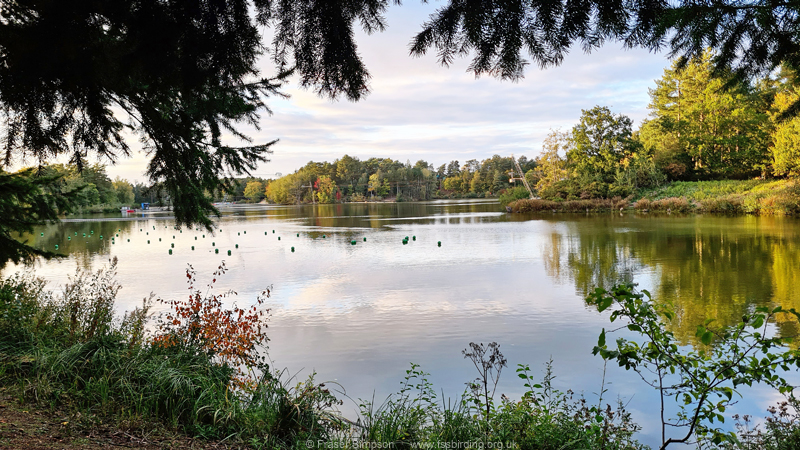 Main lake, Center Parcs Elveden Forest, Suffolk  Fraser Simpson 