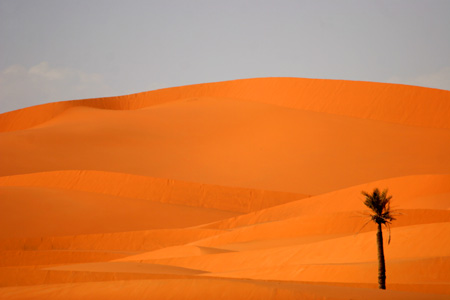 Erg Chebbi, Morocco  2007, Fraser Simpson
