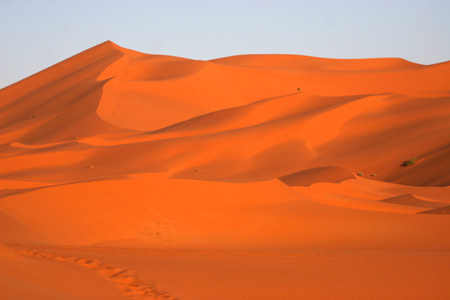 Erg Chebbi, Morocco  2007, Fraser Simpson