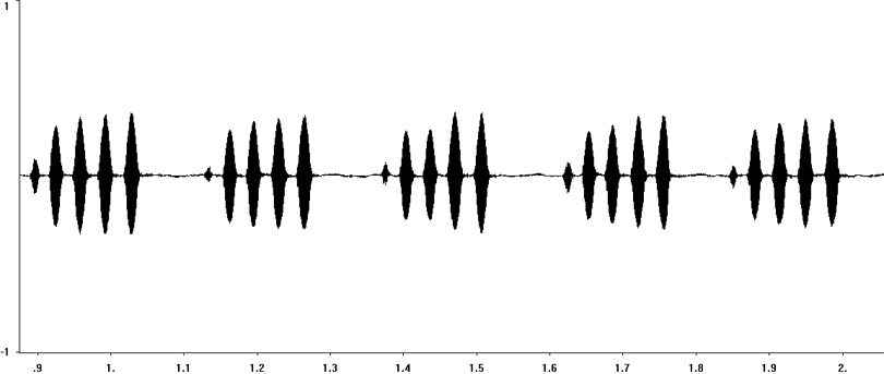 Oscillogram of European Field Cricket song