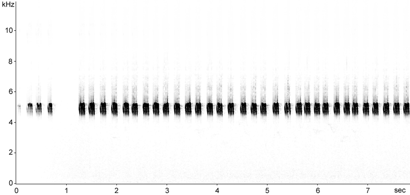 Sonogram of European Field Cricket song