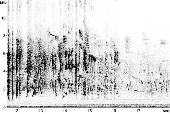 Sonogram of Fieldfare song