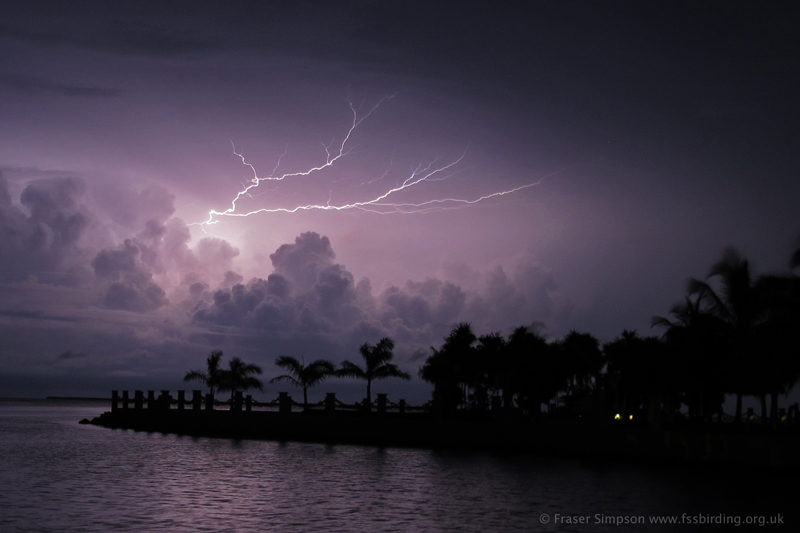 Electrical Storm, Summerland Key  Fraser Simpson