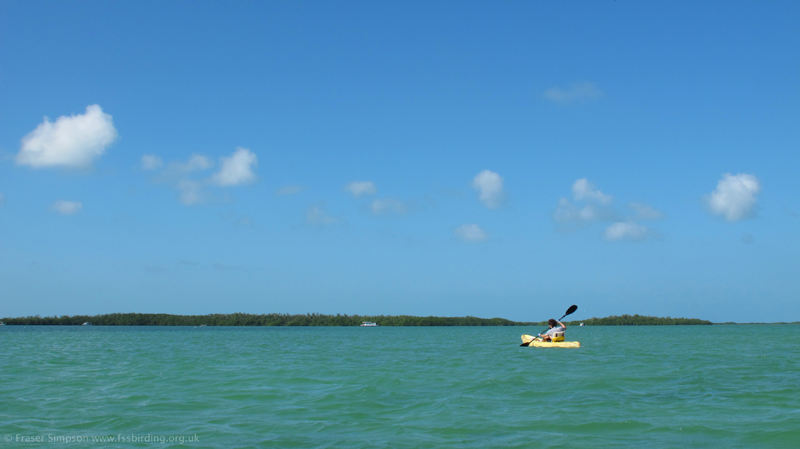 On the way to Lower Sugarloaf Key © Fraser Simpson  2014