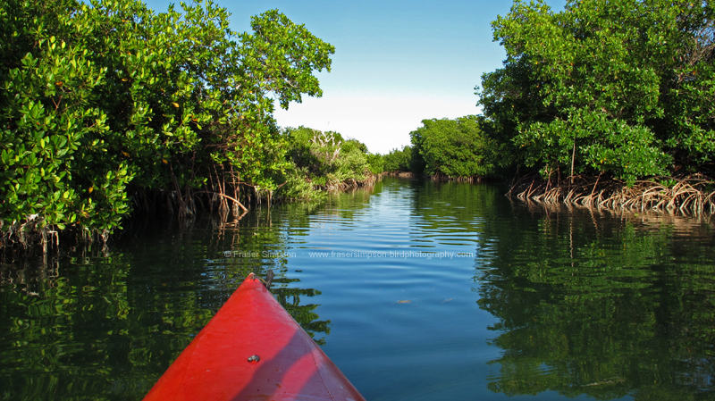 Southern tip of Cudjoe Key  Fraser Simpson  2014