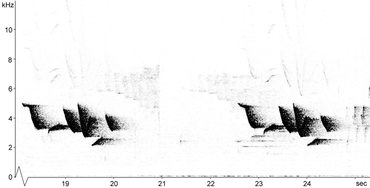 Sonogram of Fox Sparrow song