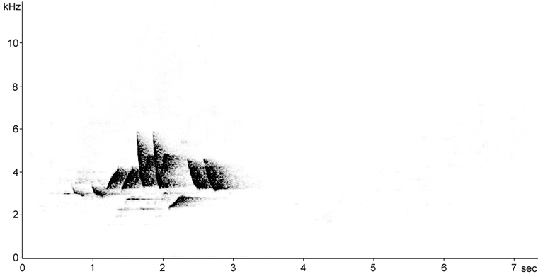 Sonogram of Fox Sparrow song