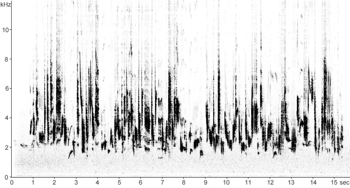 Sonogram of Garden Warbler song