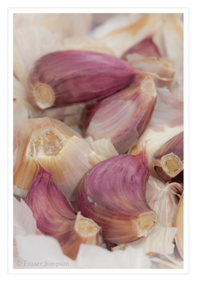 Garlic  2010 Fraser Simpson