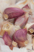 Garlic cloves