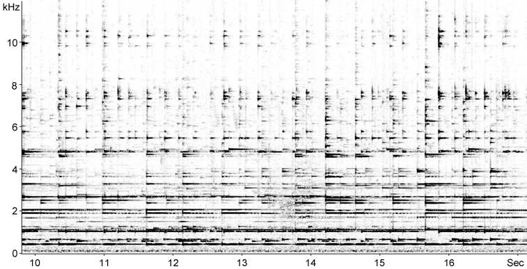 Sonogram of Goat herd with bells