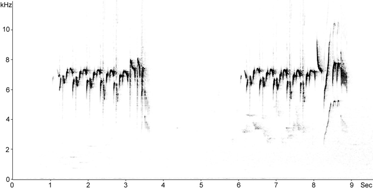 Sonogram of Goldcrest song