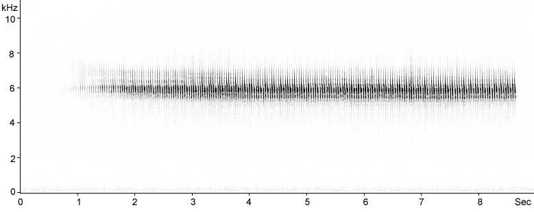 Sonogram of Grasshopper Warbler song