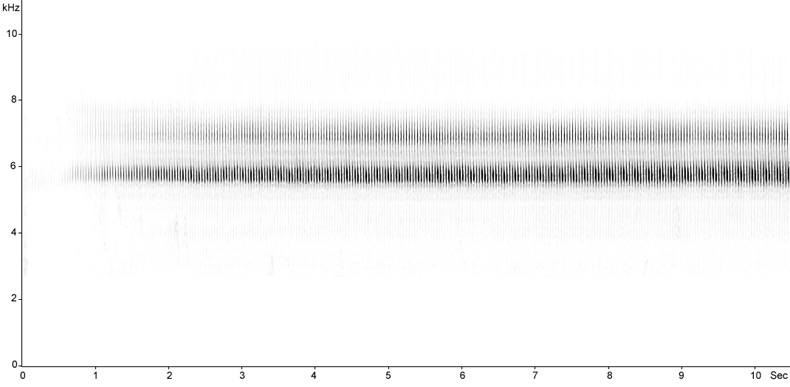 Sonogram of Grasshopper Warbler, Locustella naevia  2009 Fraser Simpson