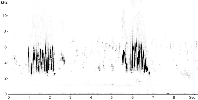 Sonogram of Greater Short-toed Lark song