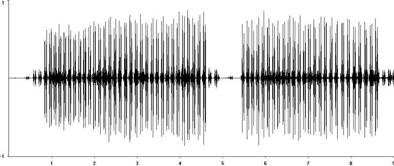 Oscillogram of Great Green Bush-cricket stridulation