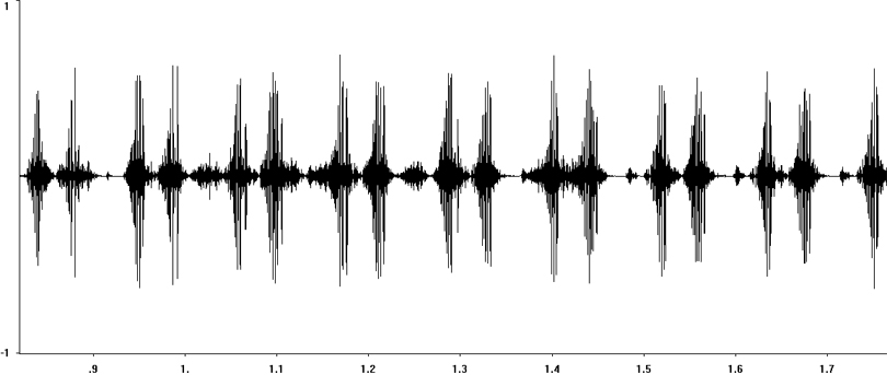 Oscillogram of Great Green Bush-cricket stridulation