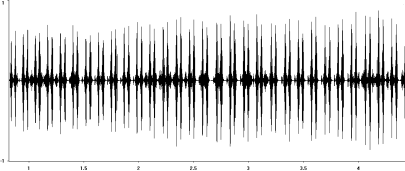 Oscillogram of Great Green Bush-cricket stridulation