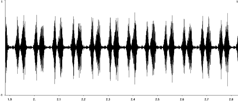 Oscillogram of Great Green Bush-cricket stridulation