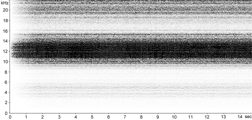 Sonogram of Great Green Bush-cricket stridulation