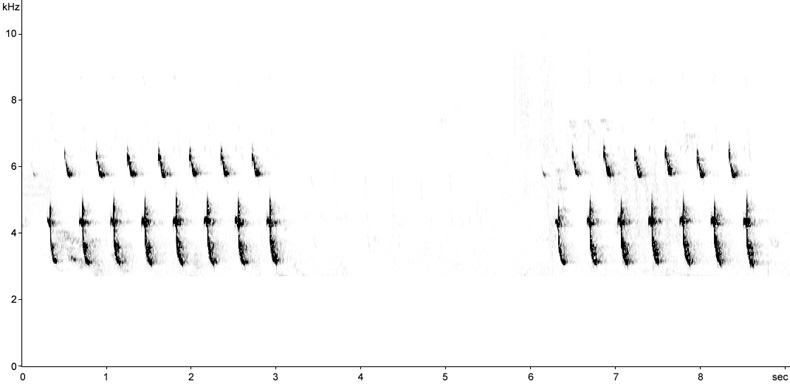 Sonogram of Great Tit song