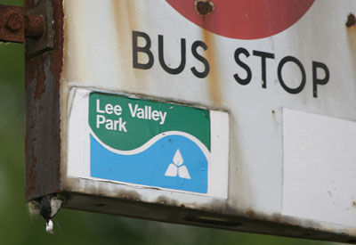 Great Tit nesting in bus stop sign � 2005  F. S. Simpson