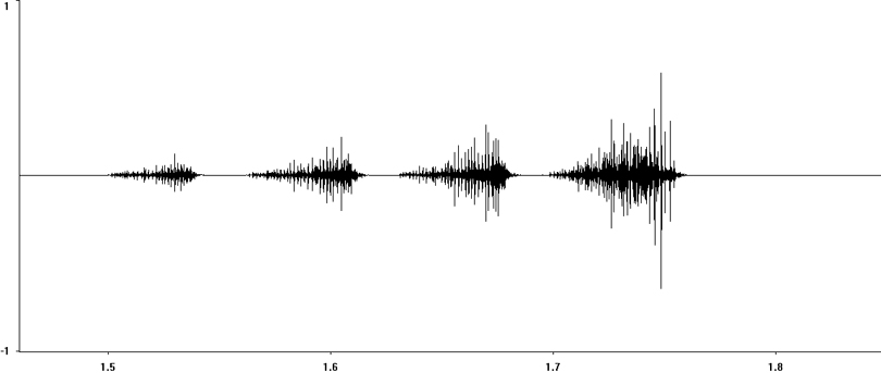 Oscillogram of Grey Bush-cricket stridulation [greybushcricket117402capcut]